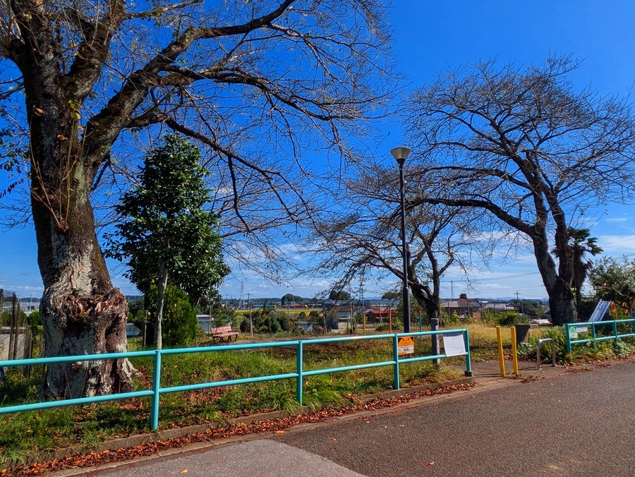 隣接児童公園