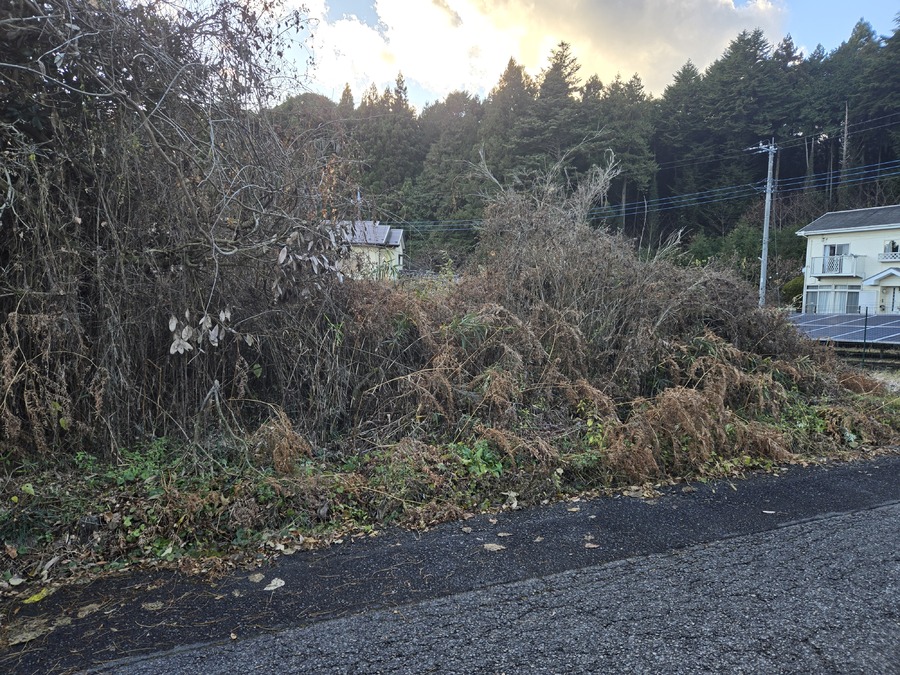 現地写真　南側から